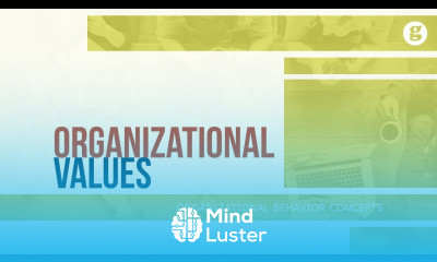 Organizational Values