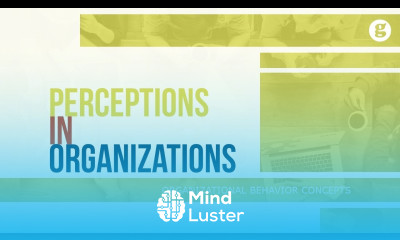Perceptions in Organizations
