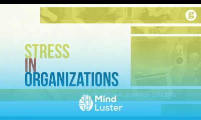 Stress in Organizations