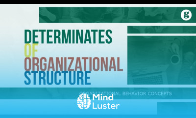 Learn Determinants of Organizational Structure - Mind Luster