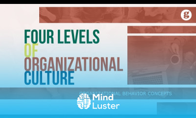 Learn Four Levels of Organizational Culture - Mind Luster