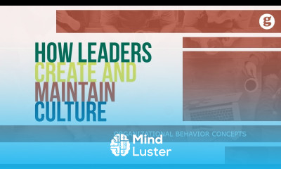 Learn How Leaders Create and Maintain Culture - Mind Luster