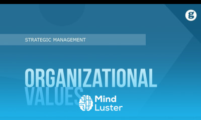 Organizational Values