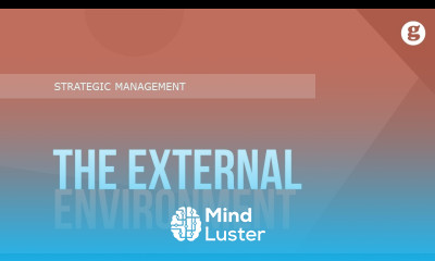 The External Enviornment