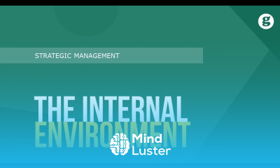 The Internal Environment