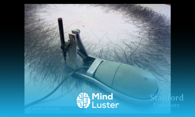 Stanford Seminar Playing Politics