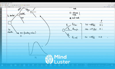 Probabilistic reserve estimation cont probability trees example with Jupyter notebook