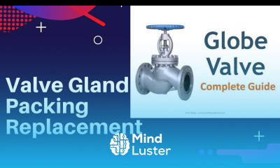 Globe Valve Gland Packing Replacement Procedure