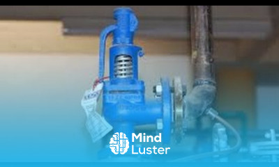 Uncovering the Hidden Truth Behind the Safety Valve You Won t Believe What We Found