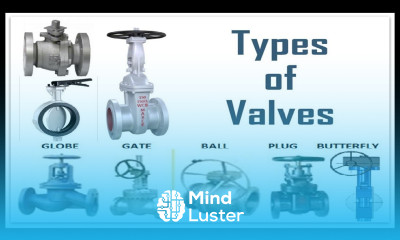 Uncover the Mysteries of Valves What You Need to Know