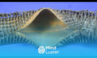 What are Types of steam Boiler Tube Failures Deformities And How to fix