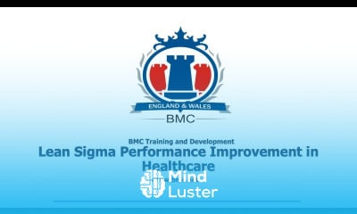 Lean Sigma Performance Improvement in Healthcare Training