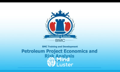 Petroleum Project Economics and Risk Analysis Training