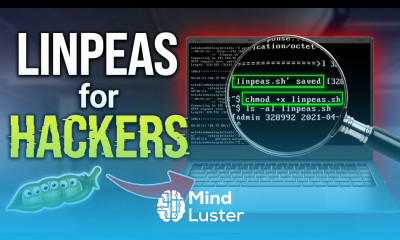 Linpeas For Linux Security Lesson and Lab
