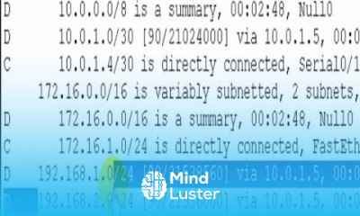 Learn Cisco CCNA Troubleshooting in the Exam 4 4 - Mind Luster