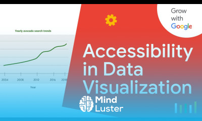 Ways to Make Data Visualization Accessible | Google Data Analytics Certificate