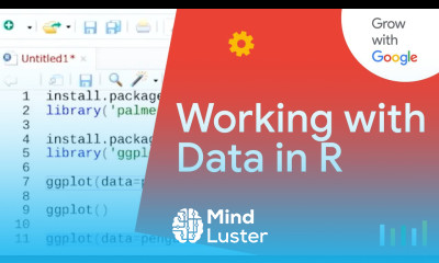 Working with Data in R | Google Data Analytics Certificate