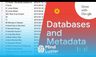 Databases and Metadata for Beginners | Google Data Analytics Certificate