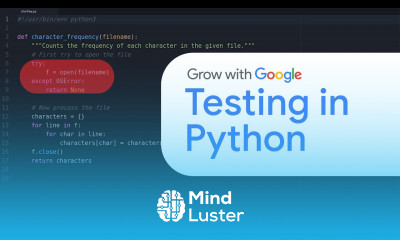 Testing Python for Beginners | Google IT Automation with Python Certificate