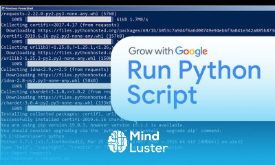 How to Run a Python Script | Google IT Automation with Python Certificate
