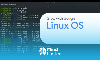 The Linux Operating System and Bashing | Google IT Automation with Python Certificate