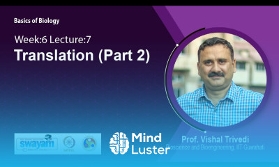 Lec 30 Translation Part 2