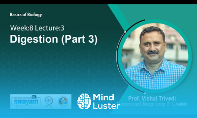 Lec 38 Digestion Part 3