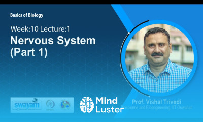 Learn Lec 43 Nervous System Part 1 - Mind Luster