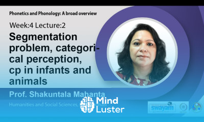 Lec 13 Segmentation problem categorical perception cp in infants and animals