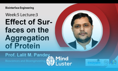 Lec 15 Effect of Surfaces on the Aggregation of Protein