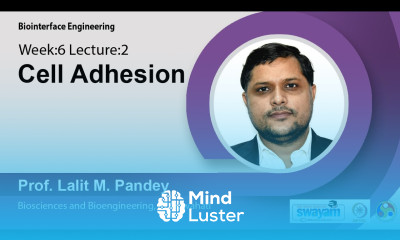 Lec 17 Cell Adhesion