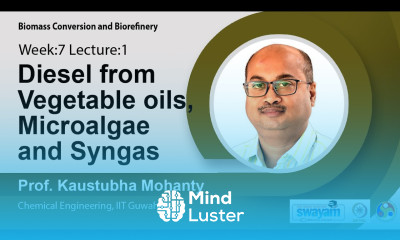 Lec 19 Diesel from vegetable oils microalgae and syngas