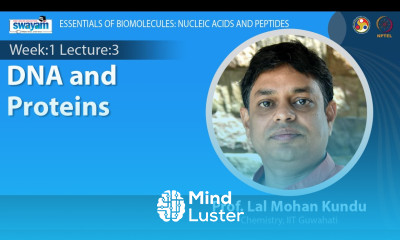 Lec 3 DNA and Proteins