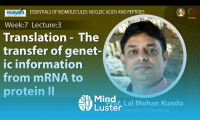 Lec 22 Translation The transfer of genetic information from mRNA to protein II