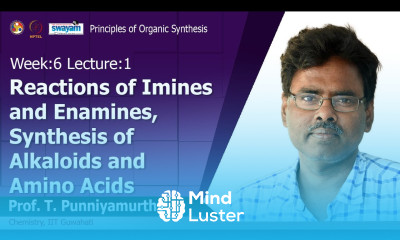 Lec 11 Reactions of imines and enamines synthesis of alkaloids and amino acids