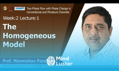 Lec 3 The Homogeneous Model