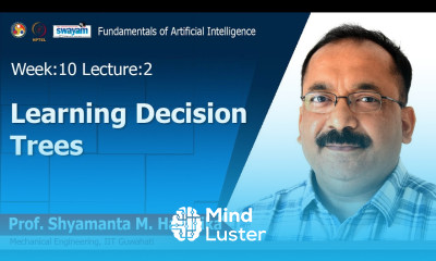 Lec 28 Learning Decision Trees