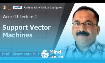 Lec 30 Support Vector Machines