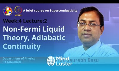 Lec 13 Non Fermi Liquid Theory Adiabatic continuity