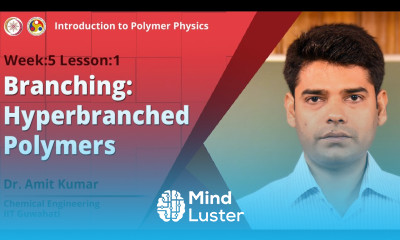 Branching Hyper branched Polymers