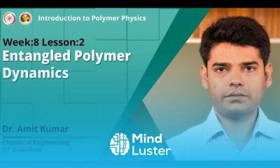 Entangled Polymer Dynamics