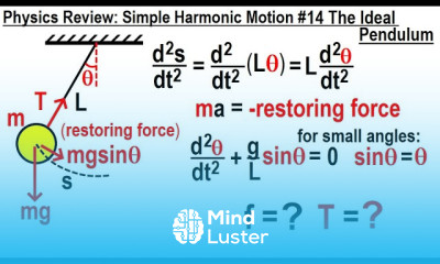Physics Review Simple Harmonic Motion 14 The Simple Pendulum