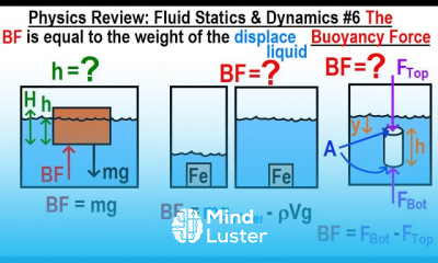 Physics Review Fluid Statics and Dynamics 6 The Buoyancy Force