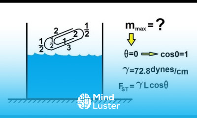 Physics 33 1 Surface Tension 4 of 12 The Floating Paper Clip
