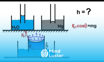 Physics 33 1 Surface Tension 5 of 12 What Causes Capillary Action