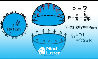 Physics 33 1 Surface Tension 8 of 12 Pressure in a Drop of Water