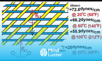 Physics 33 1 Surface Tension 12 of 12 Effects of Soap and Heat