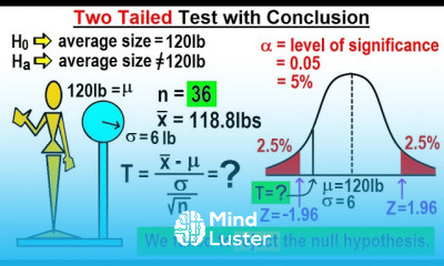 Statistics Ch 9 Hypothesis Testing 22 of 35 Two Tailed Test with Conclustion