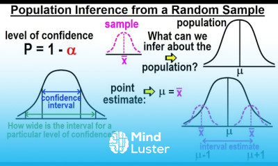 Statistics Ch 9 Hypothesis Testing 24 of 35 Population Inference from a Random Sample