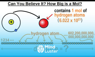 Can You Believe It 1 How Big is a Mol